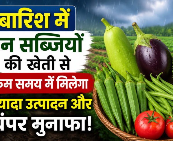 Barish me Konsi Sabji Lagaye