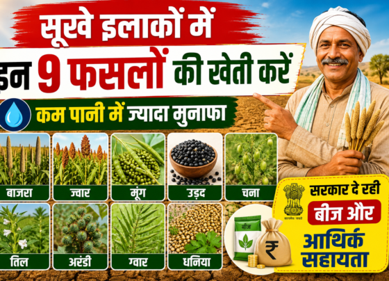 Sukhe Ilakon Me 9 Fasalon Ki Kheti