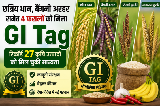GI Tag 2026
