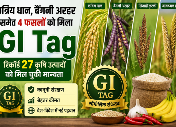 GI Tag 2026