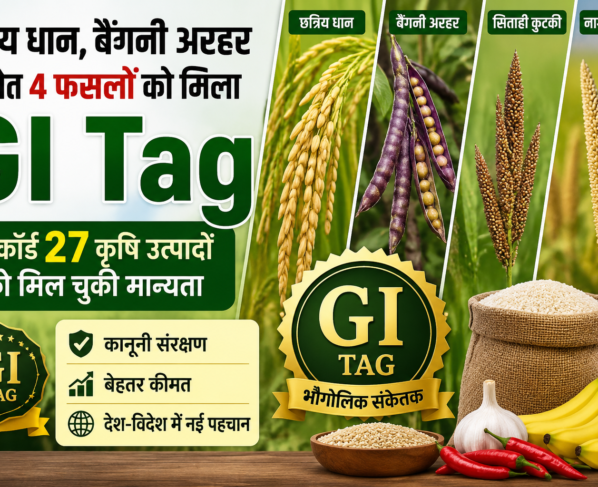 GI Tag 2026
