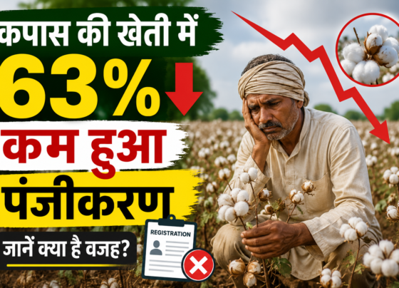 Cotton Farming Subsidy