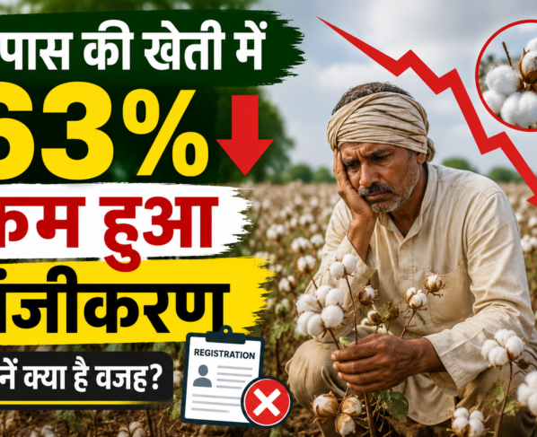 Cotton Farming Subsidy