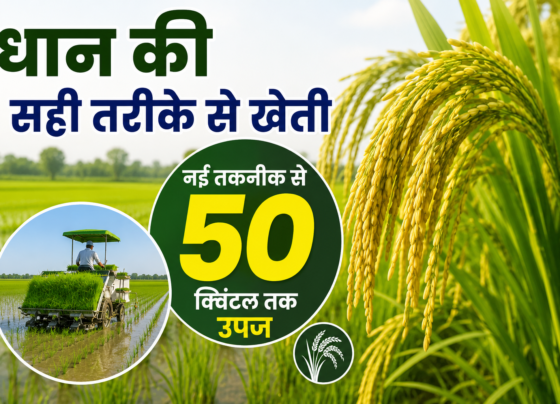 Paddy Farming Technology