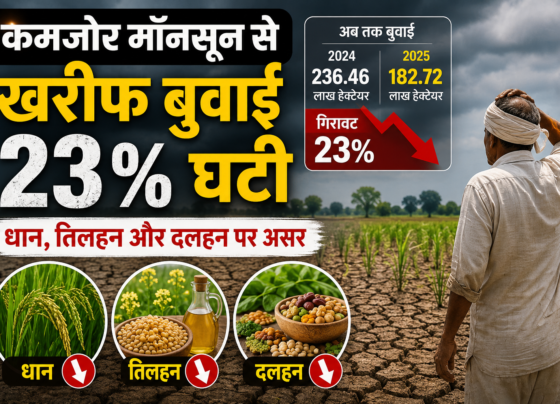 Kharif Sowing Update