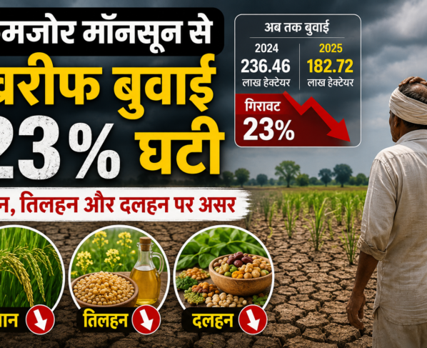 Kharif Sowing Update