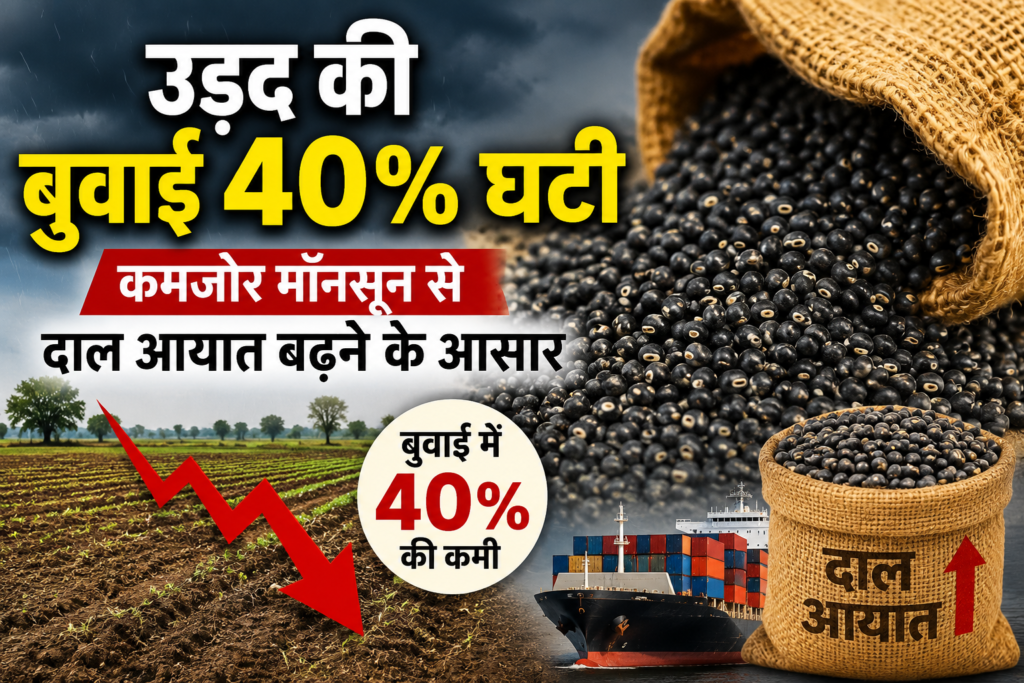 Urad Production