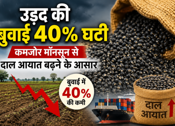 Urad Production