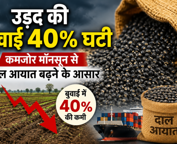 Urad Production