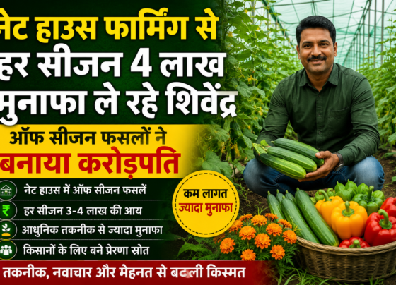 Young Farmer Success Story