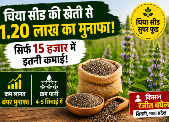 Chia Seed Farming Success Story of MP Farmer Ranjit Baghel