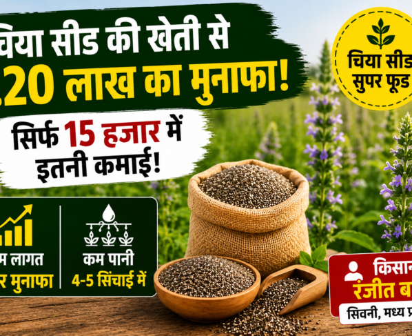 Chia Seed Farming Success Story of MP Farmer Ranjit Baghel