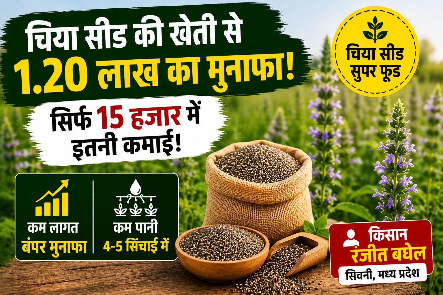 सिर्फ 15 हजार की लागत में कमाए 1.20 लाख रुपये! जानिए कैसे चिया सीड की खेती ने किसान रंजीत बघेल की बदल दी किस्मत Chia Seed Farming Success Story of MP Farmer Ranjit Baghel