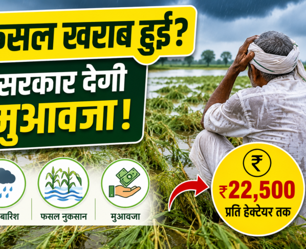 Compensation for Crop Damage Rajasthan 2026