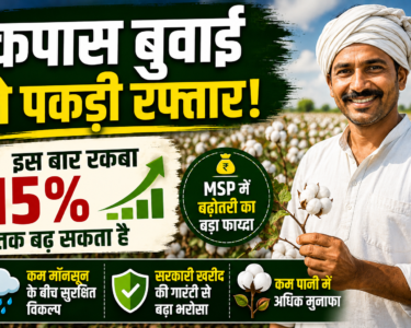 Cotton Farming 2026