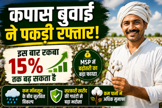 Cotton Farming 2026