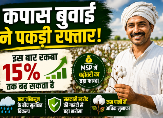 Cotton Farming 2026