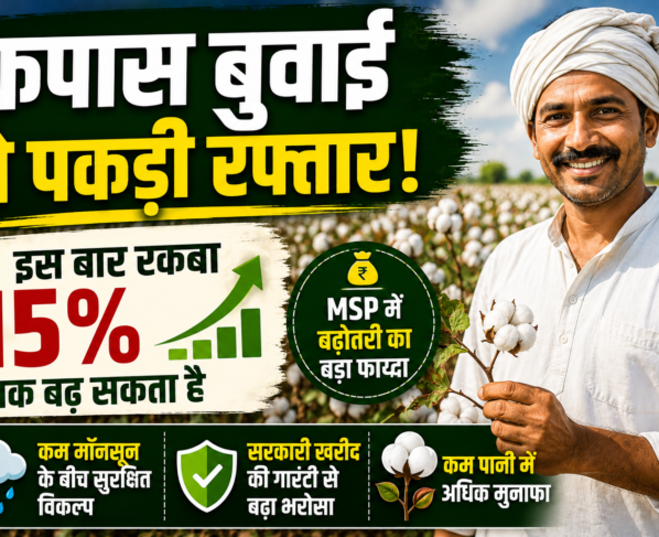 Cotton Farming 2026