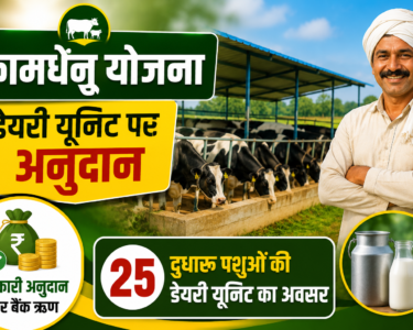 Dairy Farming Subsidy Scheme in MP