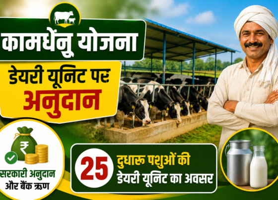 Dairy Farming Subsidy Scheme in MP