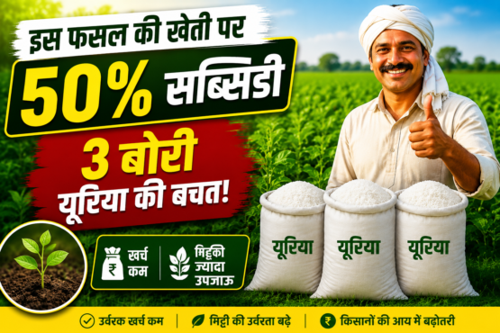 Dhaincha Farming Subsidy