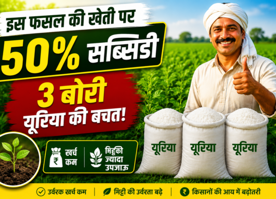 Dhaincha Farming Subsidy