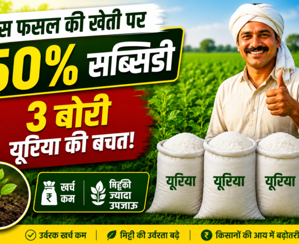 Dhaincha Farming Subsidy