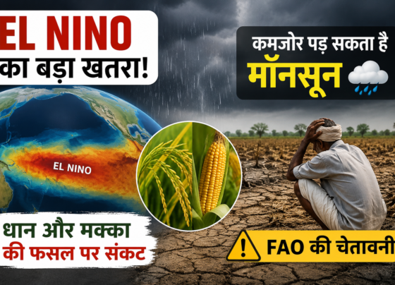 El Nino Effect on Monsoon