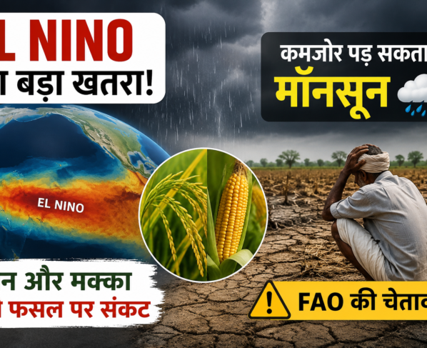 El Nino Effect on Monsoon