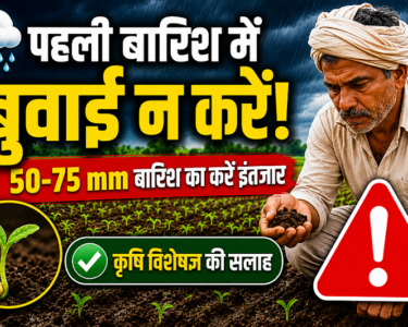 Kharif Crop Sowing Tips