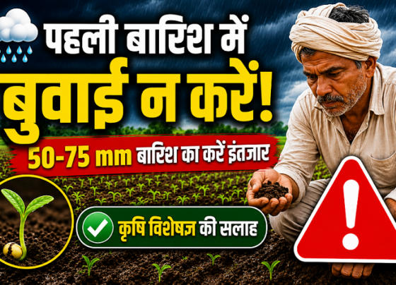Kharif Crop Sowing Tips