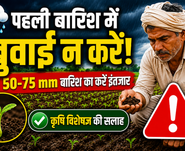 Kharif Crop Sowing Tips