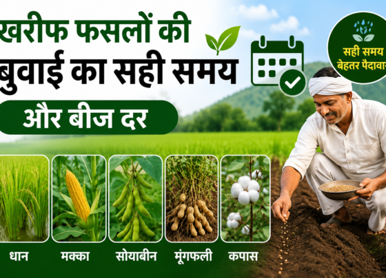 Kharif Fasalon Ki Buwai Ka Sahi Samay Aur Beej Dar