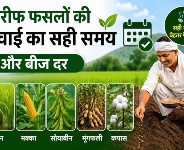 Kharif Fasalon Ki Buwai Ka Sahi Samay Aur Beej Dar