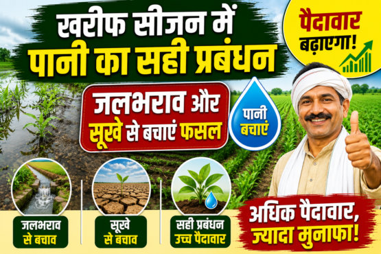 Kharif Season Water Management