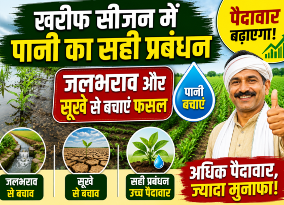 Kharif Season Water Management