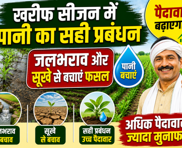 Kharif Season Water Management
