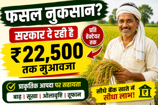 Krishi Aadan Anudan Sahayata Yojana Rajasthan