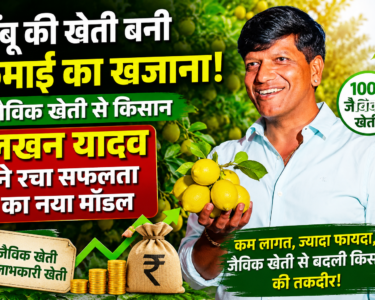 Lakhan Yadav Lemon Farming Success Story in MP