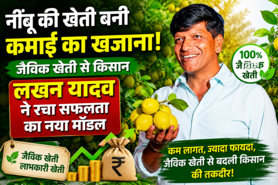 Lakhan Yadav Lemon Farming Success Story in MP