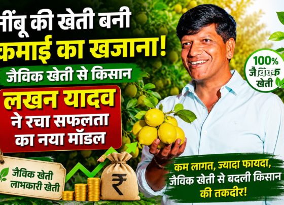 Lakhan Yadav Lemon Farming Success Story in MP