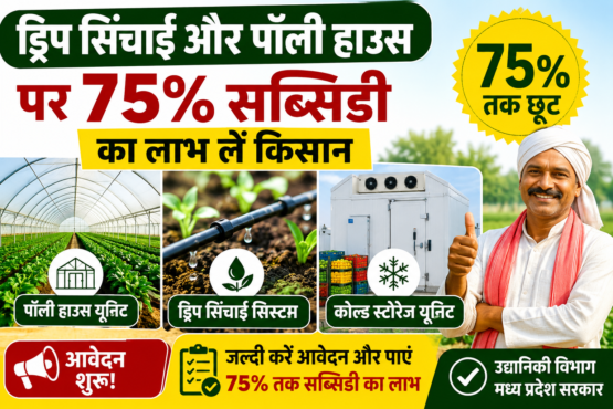 MP Poly House Subsidy 2026