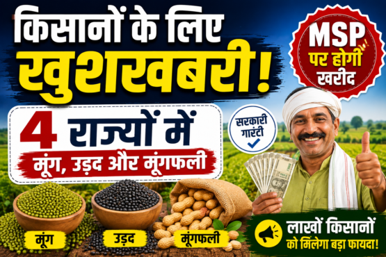 MSP Par Moong Urad Aur Moongfali Kharid