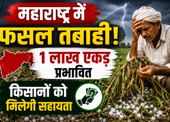 Maharashtra Crop Damage News 2026