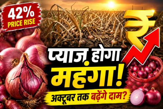 Maharashtra Onion Crisis Heatwave Water Shortage Price Rise