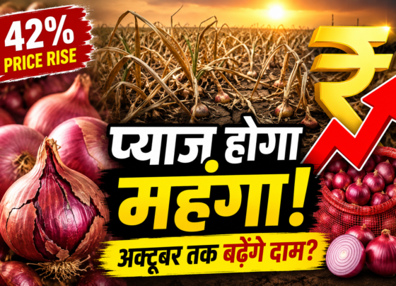 Maharashtra Onion Crisis Heatwave Water Shortage Price Rise
