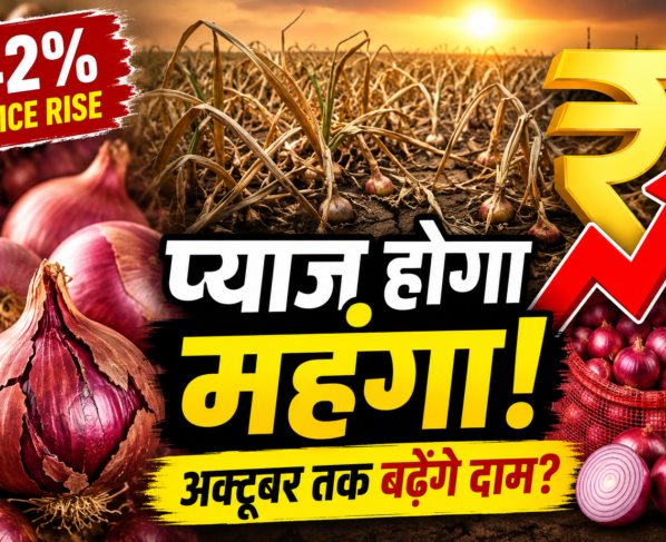 Maharashtra Onion Crisis Heatwave Water Shortage Price Rise