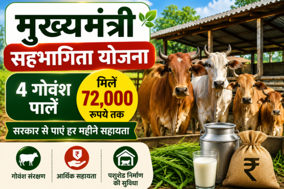 Mukhyamantri Sahbhagita Yojana