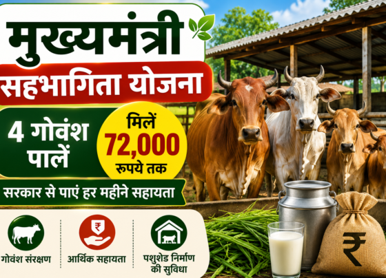 Mukhyamantri Sahbhagita Yojana