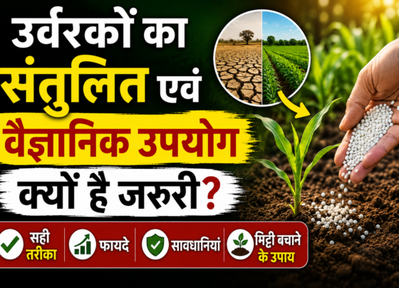 Organic and Chemical Fertilizer Balance